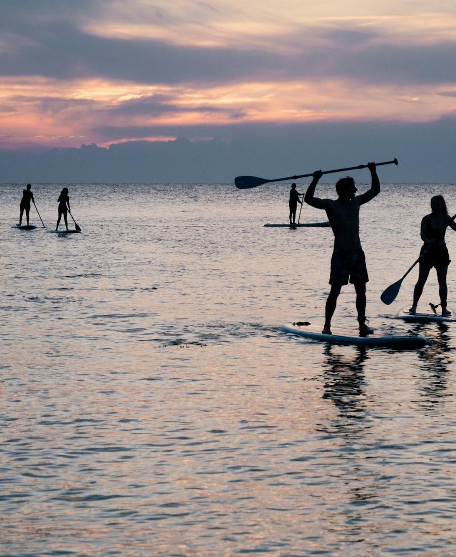 Paddle XXL